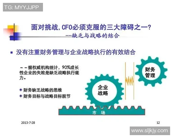 CFO与FNC角色差异分析：财务管理与风险控制的核心对比